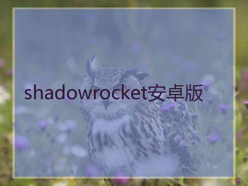 shadowrocket安卓版