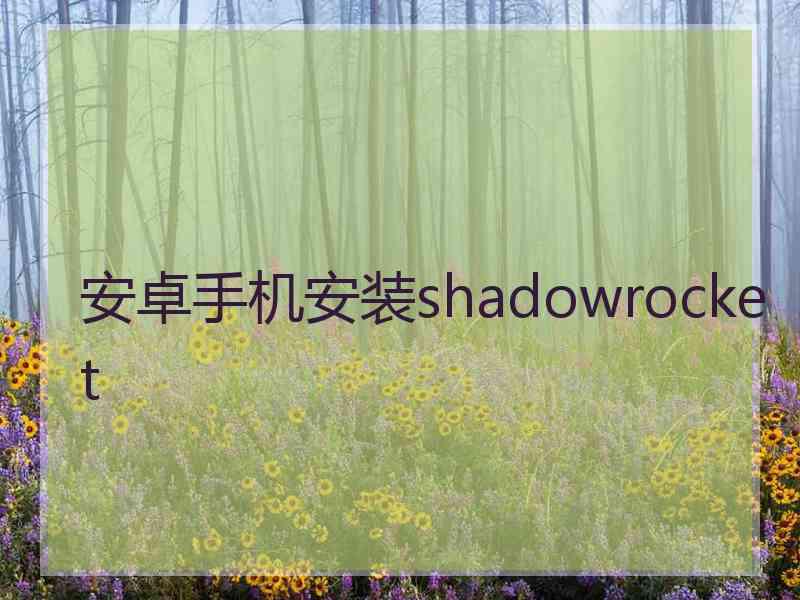 安卓手机安装shadowrocket