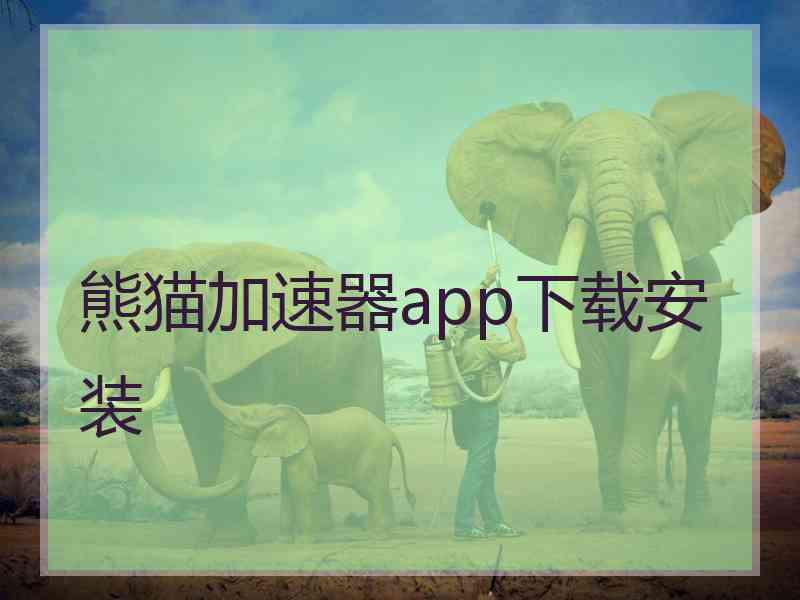 熊猫加速器app下载安装