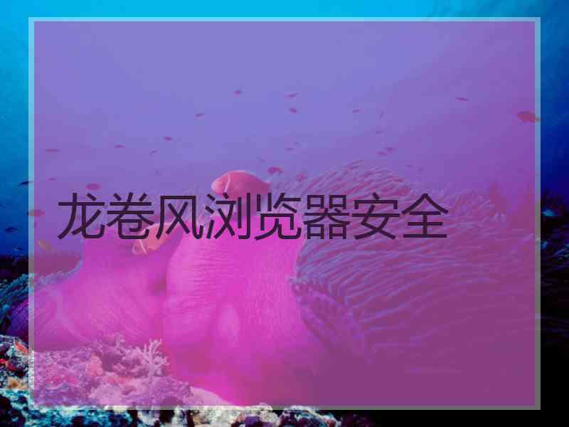 龙卷风浏览器安全