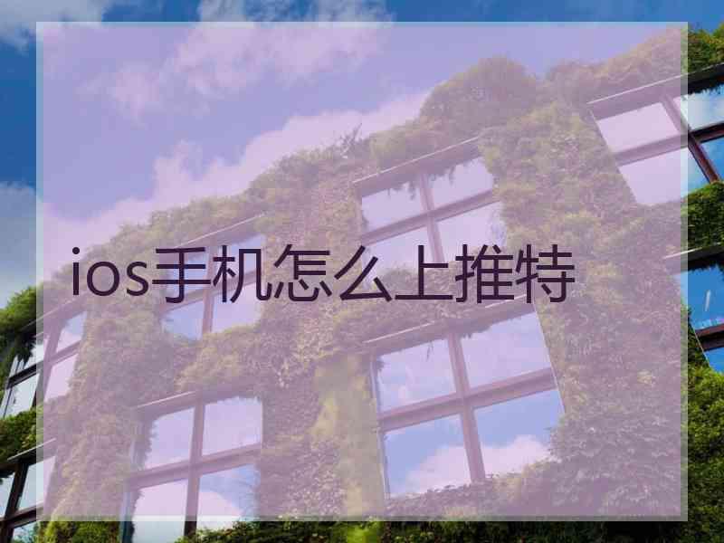 ios手机怎么上推特