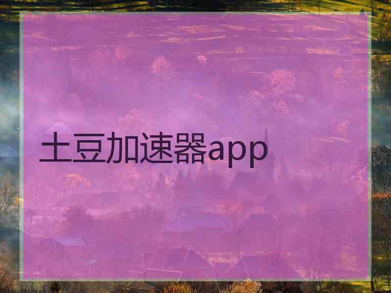 土豆加速器app