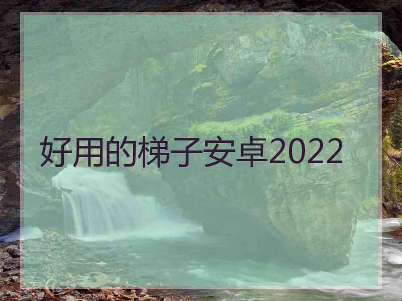 好用的梯子安卓2022