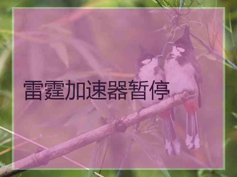 雷霆加速器暂停