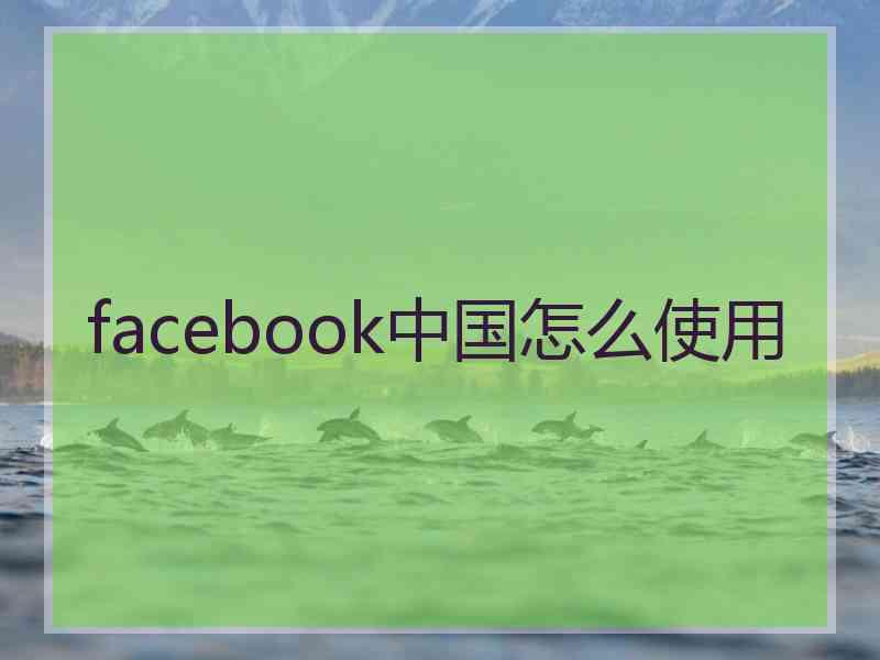 facebook中国怎么使用