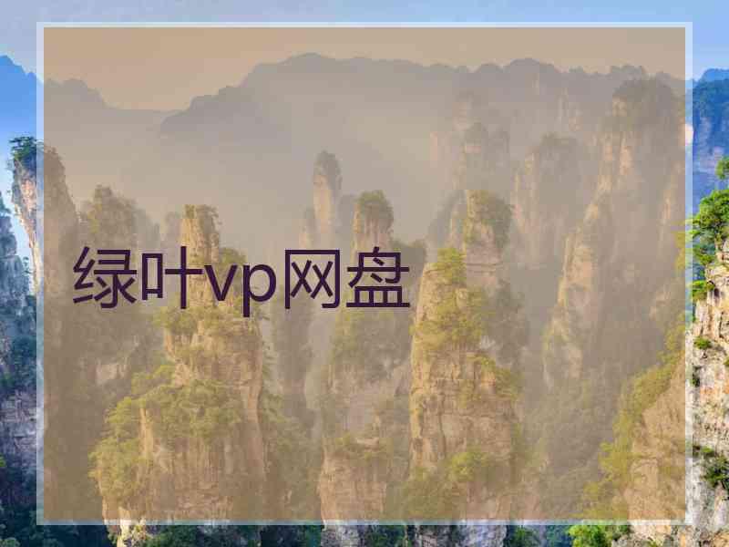 绿叶vp网盘