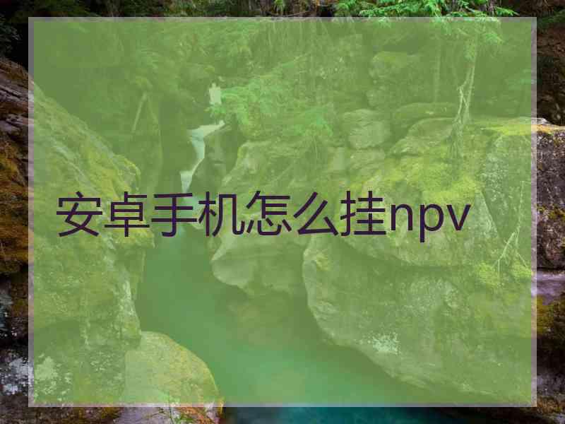 安卓手机怎么挂npv