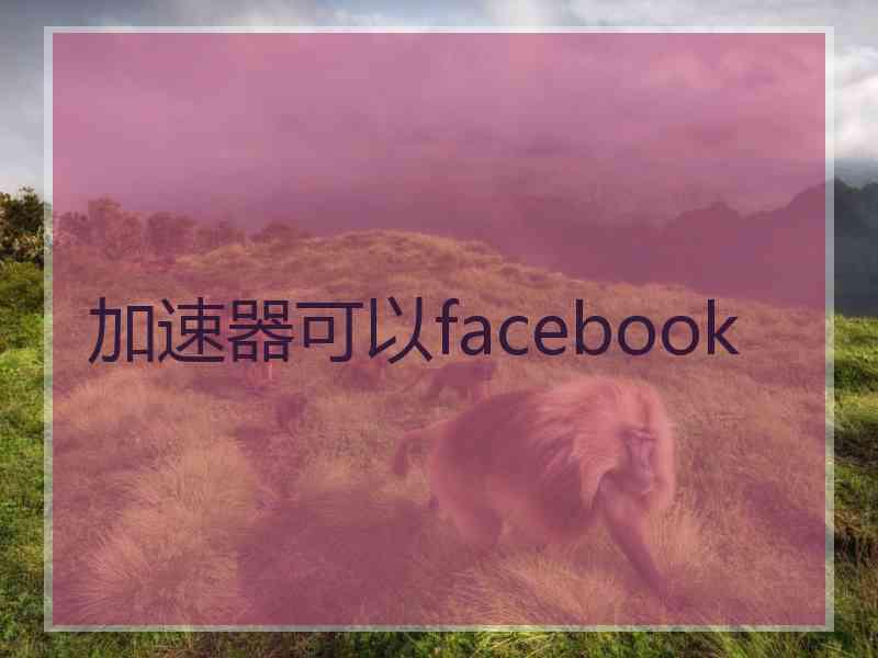 加速器可以facebook