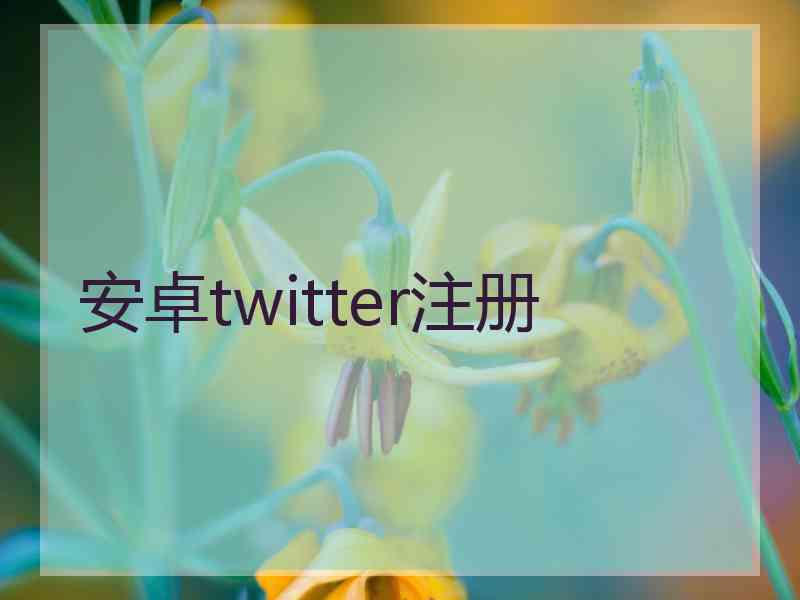 安卓twitter注册