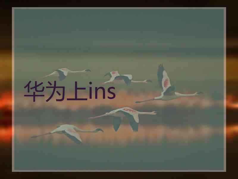 华为上ins