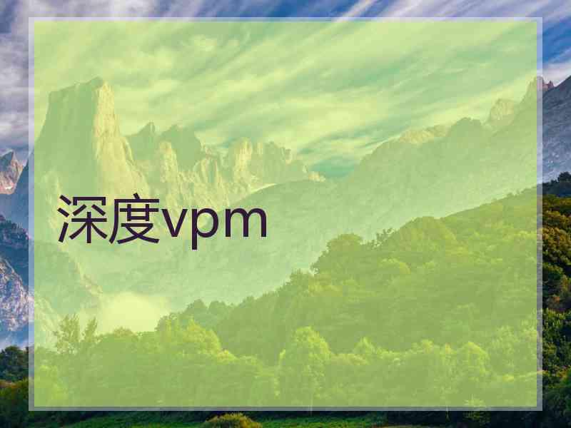 深度vpm