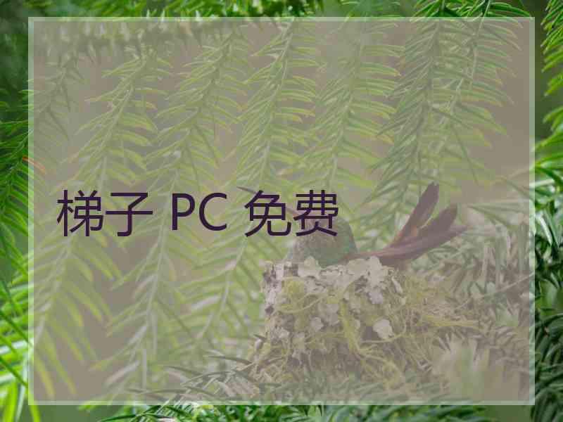 梯子 PC 免费