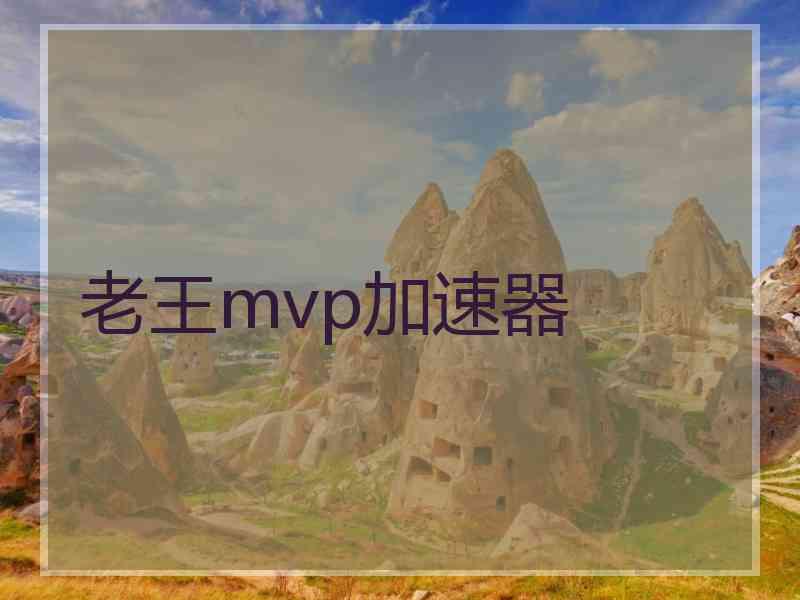 老王mvp加速器