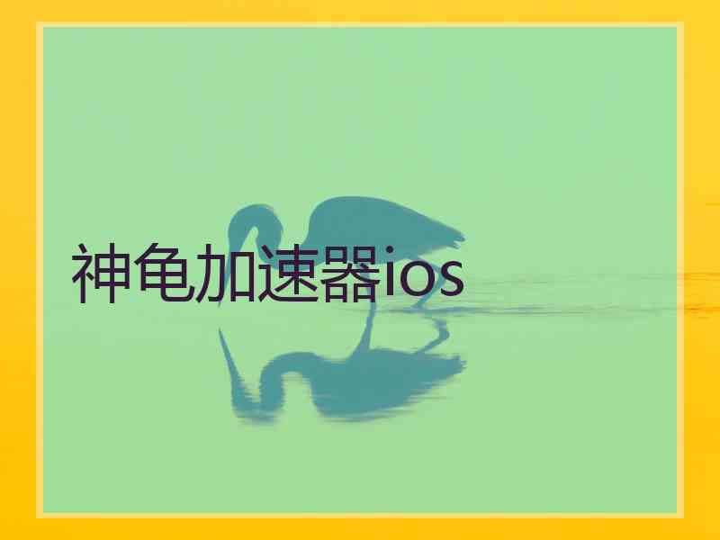 神龟加速器ios