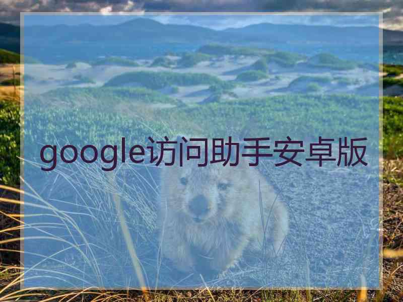 google访问助手安卓版