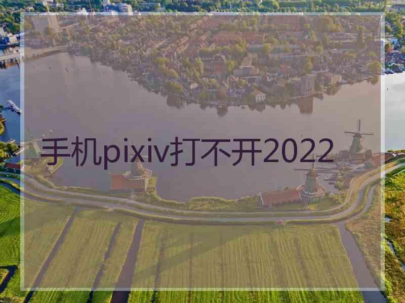 手机pixiv打不开2022