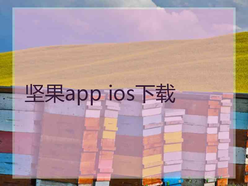 坚果app ios下载