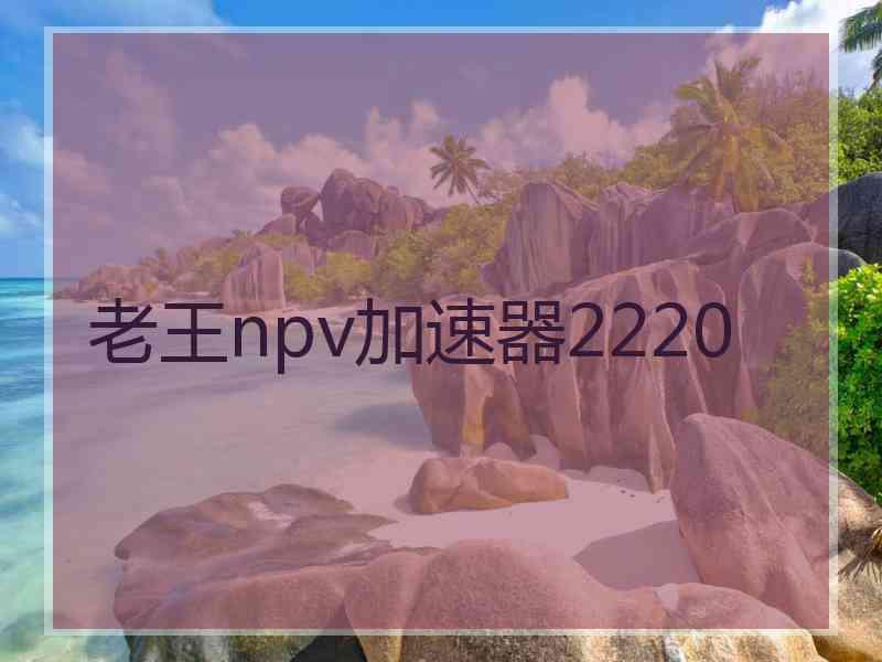 老王npv加速器2220