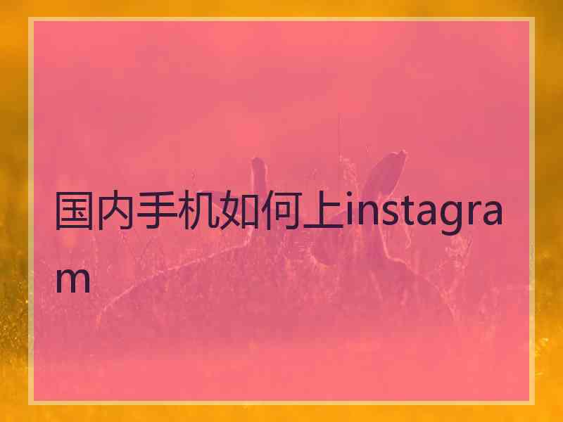 国内手机如何上instagram