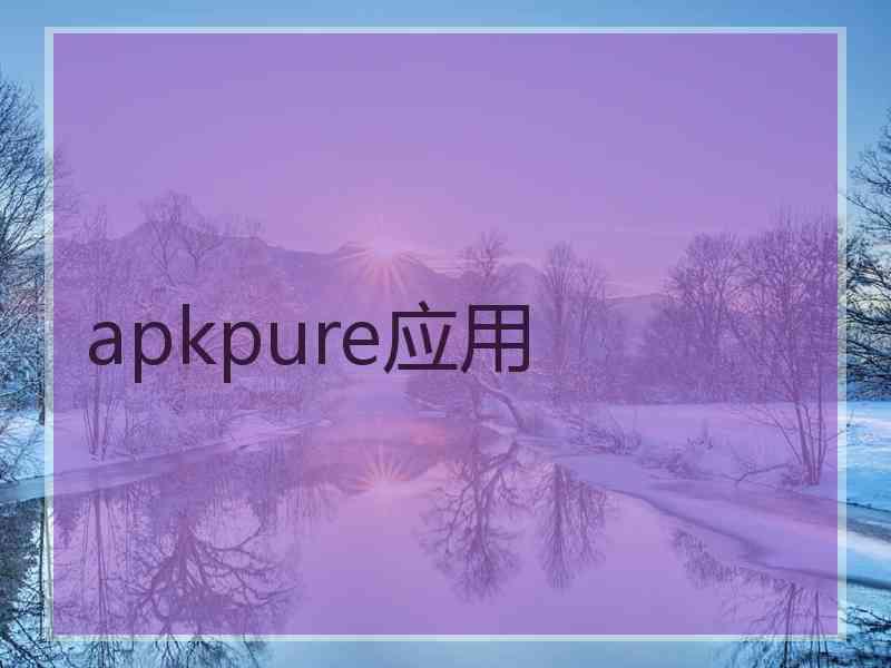 apkpure应用