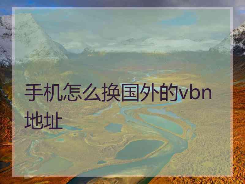 手机怎么换国外的vbn地址