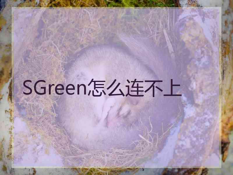 SGreen怎么连不上