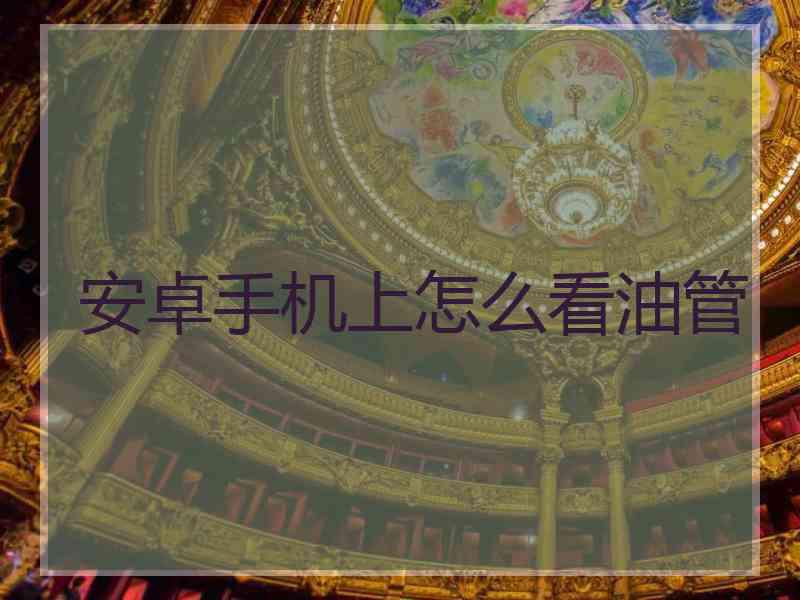 安卓手机上怎么看油管