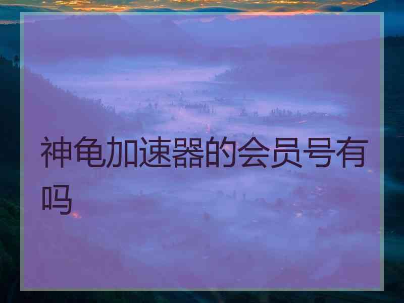 神龟加速器的会员号有吗