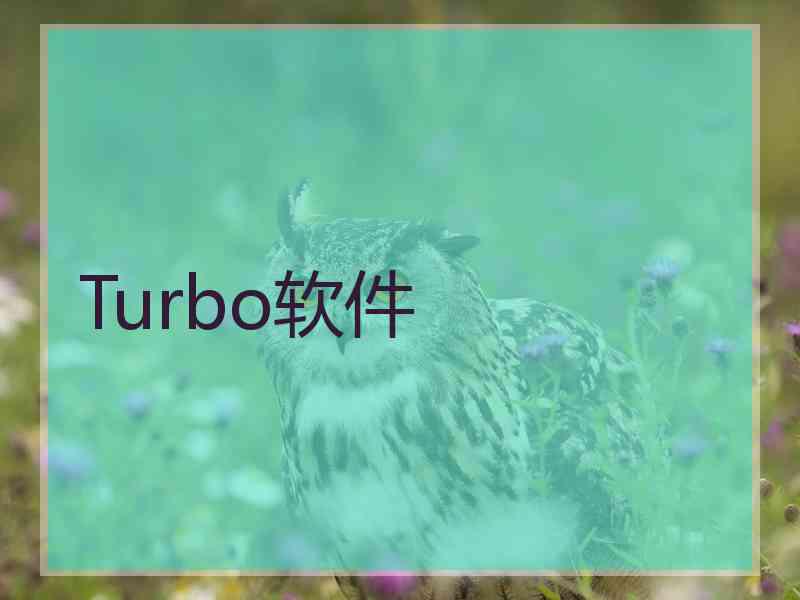 Turbo软件