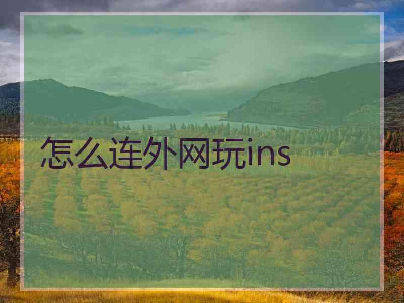 怎么连外网玩ins