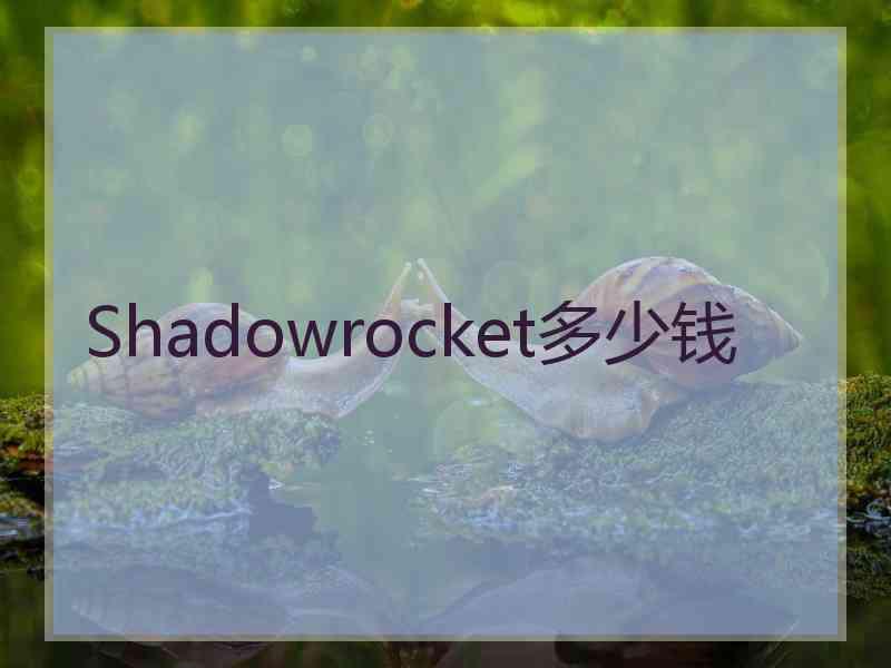 Shadowrocket多少钱