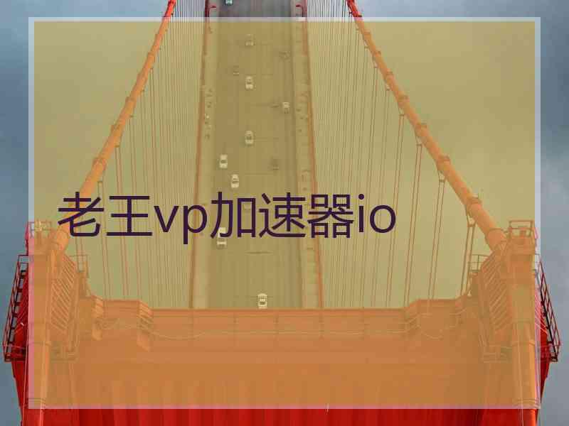 老王vp加速器io