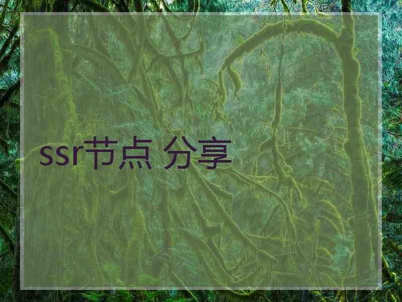 ssr节点 分享