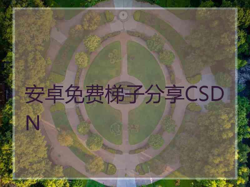 安卓免费梯子分享CSDN