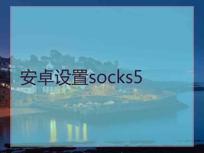 安卓设置socks5