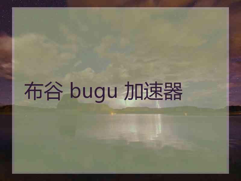 布谷 bugu 加速器