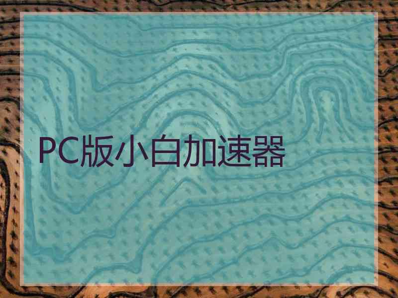 PC版小白加速器