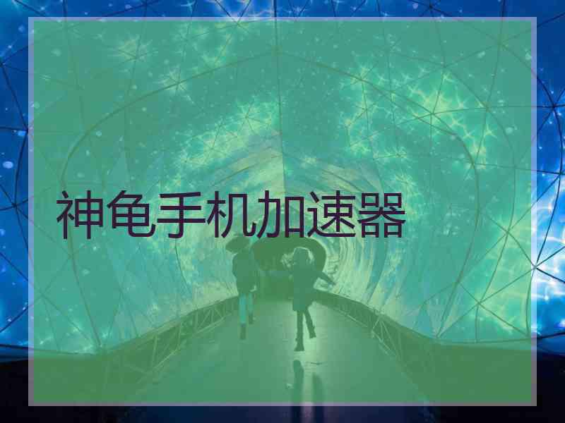 神龟手机加速器