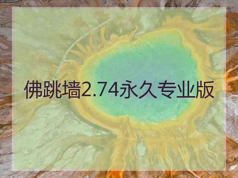 佛跳墙2.74永久专业版