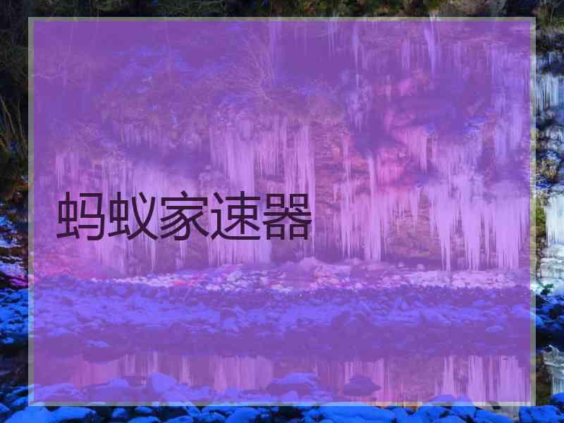 蚂蚁家速器