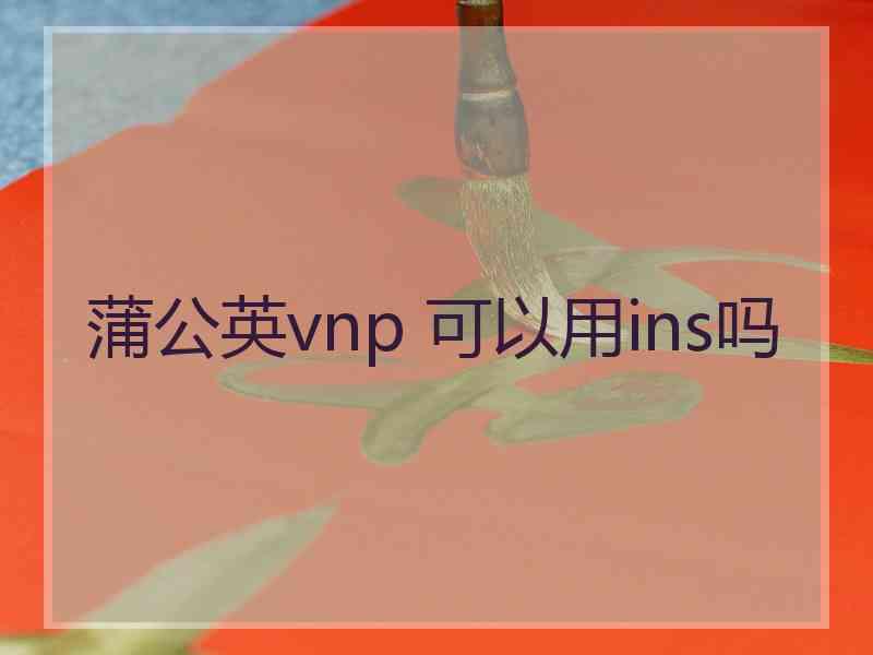 蒲公英vnp 可以用ins吗