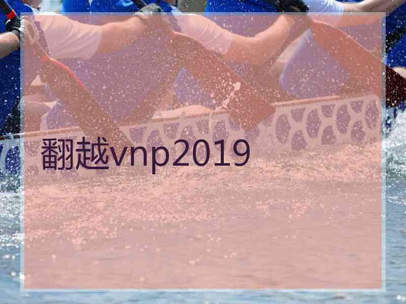 翻越vnp2019