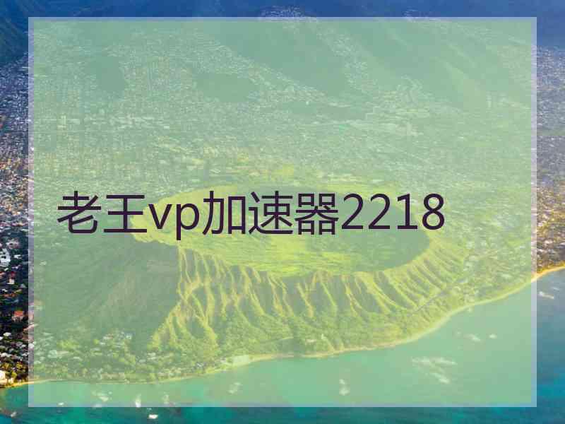 老王vp加速器2218