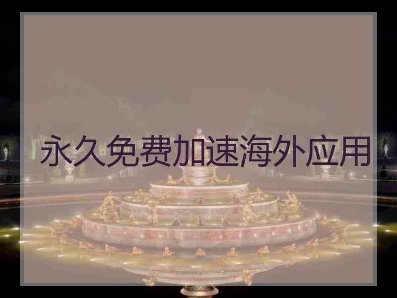 永久免费加速海外应用
