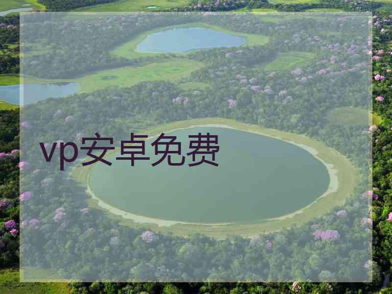 vp安卓免费