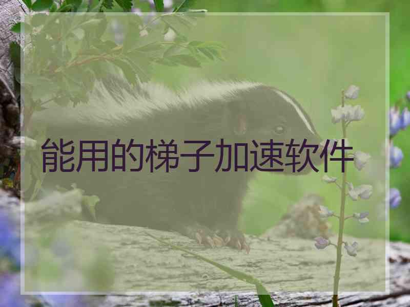 能用的梯子加速软件