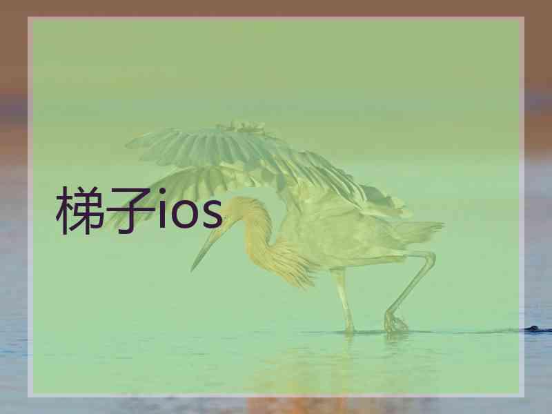 梯子ios