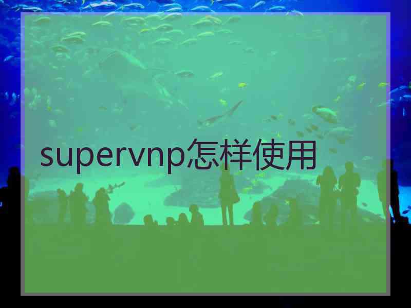 supervnp怎样使用
