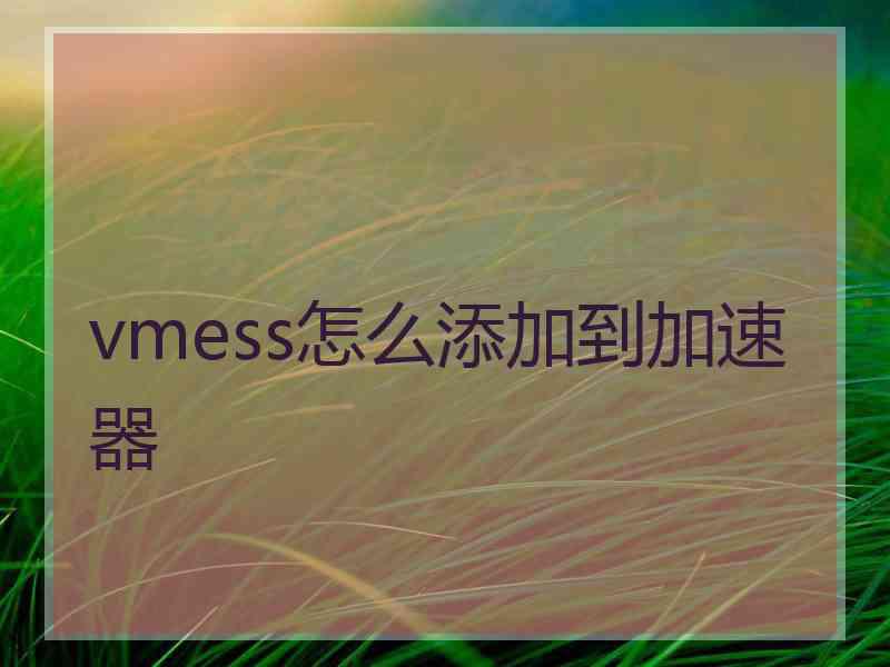 vmess怎么添加到加速器