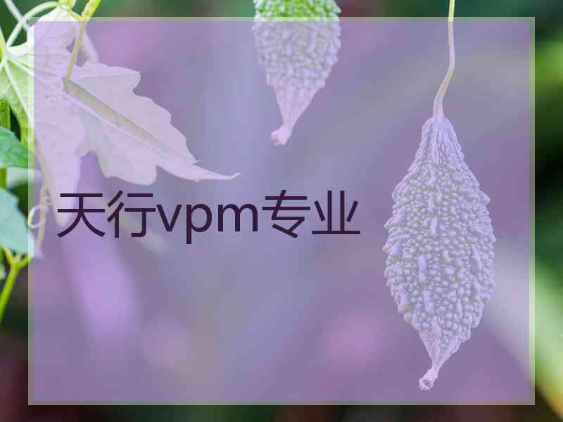 天行vpm专业